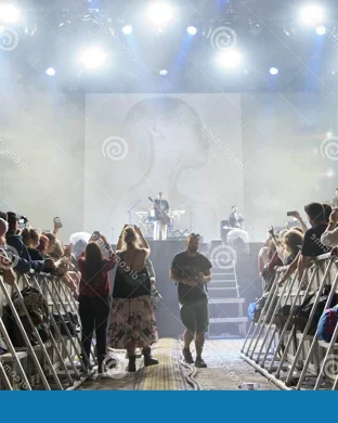 Chameleons Fort Worth