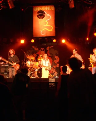 Live concert by Masood Boomgaard