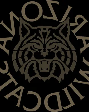 Arizona Wildcats