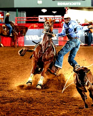 Bill Pickett Rodeo