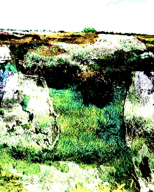 Heather Shaw Fort Worth