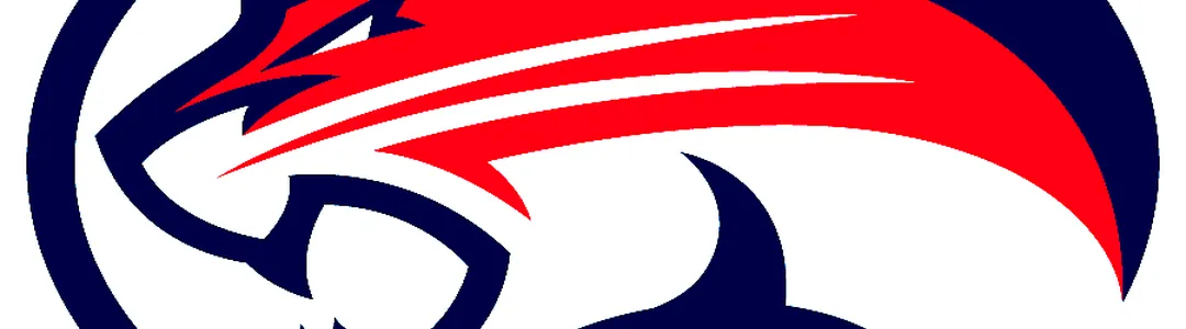 Houston Cougars