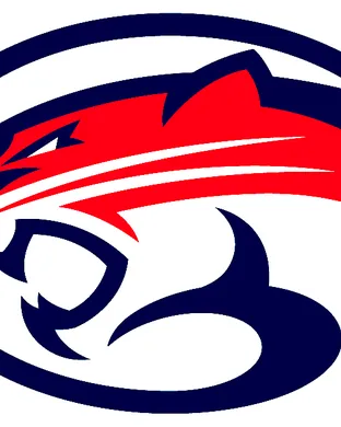 Houston Cougars