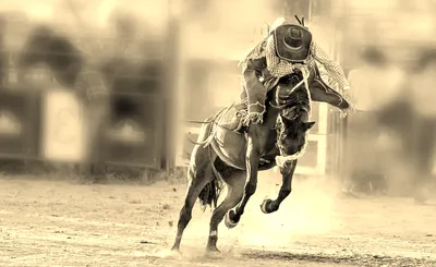 PBR Stockyards Showcase