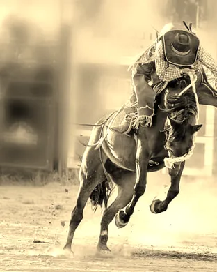 PBR Stockyards Showcase