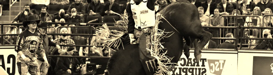 PBR Team Series