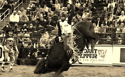 PBR Team Series