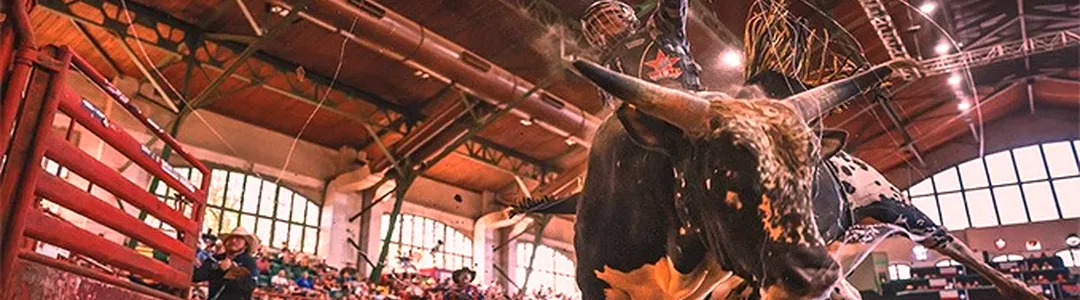 Stockyards Championship Rodeo