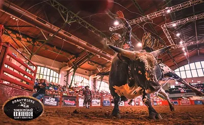 Stockyards Championship Rodeo