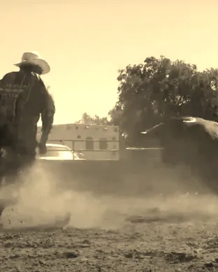 Ultimate Bullfighters