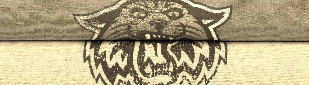 Villanova Wildcats Baseball