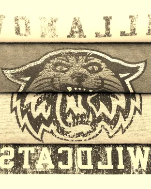 Villanova Wildcats Baseball