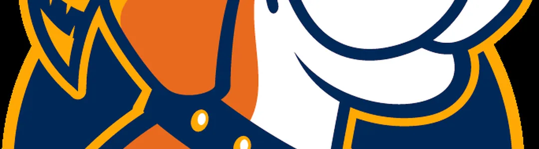 West Virginia Mountaineers Football