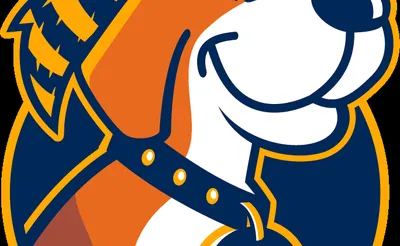 West Virginia Mountaineers Football