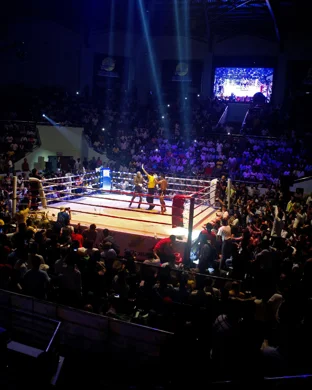 PWR: Premier Women's Rodeo