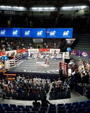 Little Mania Midget Wrestling