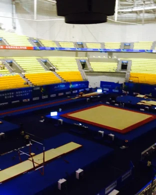 NCAA Gymnastics Regionals