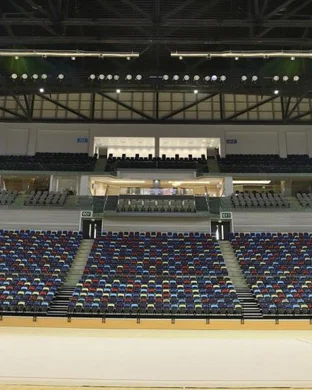 NCAA Women's Gymnastics Championship