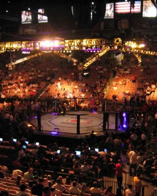XKO Fight Night