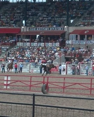 Fort Worth Stock Show and Rodeo: College Rodeo Finals sports event