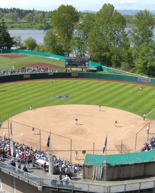 Texas Arlington Mavericks Softball