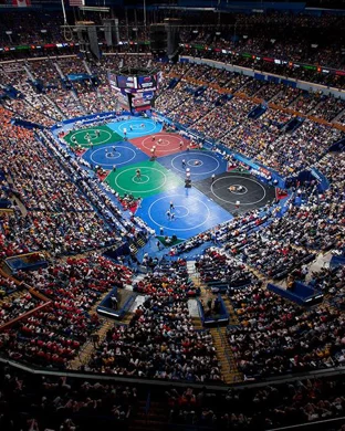 NCAA Women's Gymnastics Championship - Finals